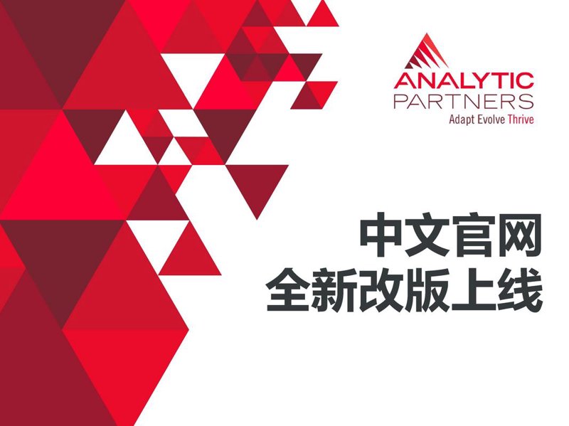 上海网站建设：助力企业数字化转型的桥梁
